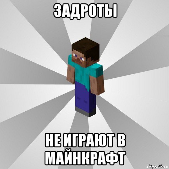 задроты не играют в майнкрафт, Мем Типичный игрок Minecraft