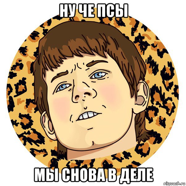 НУ ЧЕ ПСЫ МЫ СНОВА В ДЕЛЕ