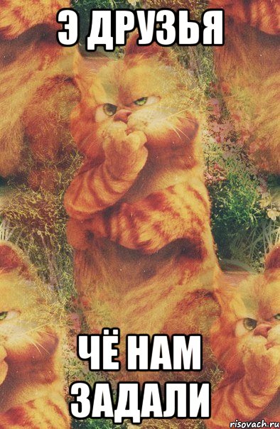 Э друзья Чё нам задали, Мем ТИПО