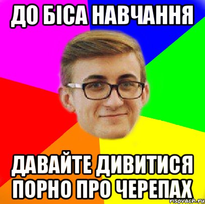 До біса навчання Давайте дивитися порно про черепах, Мем Типовий Богданчик