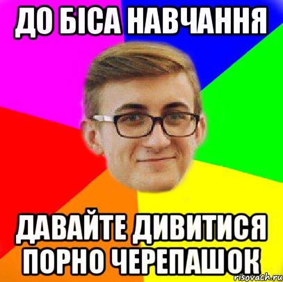 До біса навчання Давайте дивитися порно черепашок, Мем Типовий Богданчик