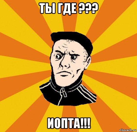 ты где ??? иопта!!!, Мем Типовий Титушка