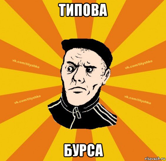 типова бурса
