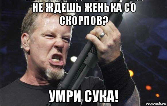 не ждешь женька со скорпов? умри сука!, Мем То чувство когда