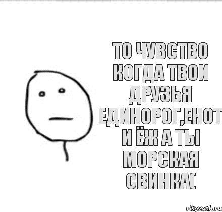 То чувство когда твои друзья единорог,енот и ёж а ты морская свинка(