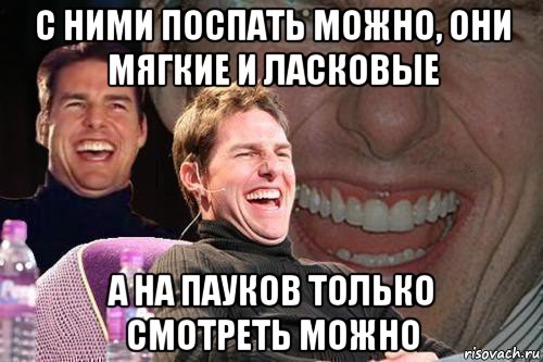 с ними поспать можно, они мягкие и ласковые а на пауков только смотреть можно, Мем том круз