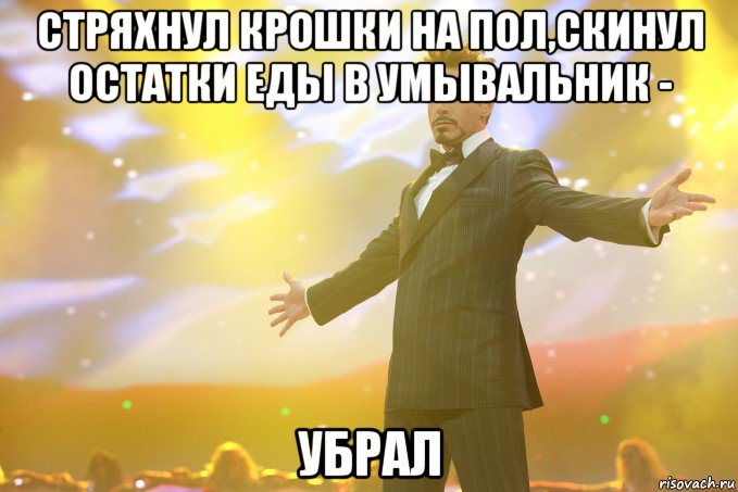 стряхнул крошки на пол,скинул остатки еды в умывальник - убрал, Мем Тони Старк (Роберт Дауни младший)