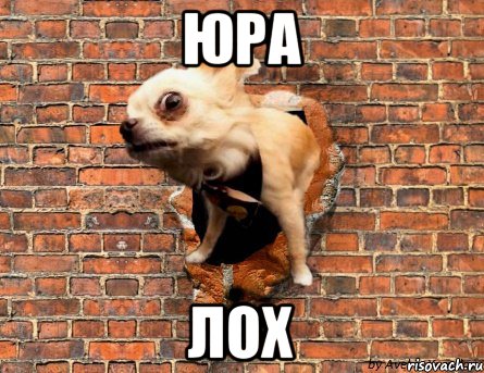 юра лох