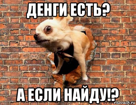 денги есть? а если найду!?