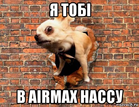 я тобі в airmax нассу