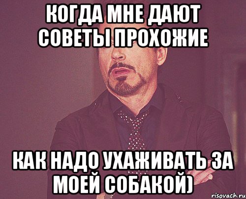 когда мне дают советы прохожие как надо ухаживать за моей собакой), Мем твое выражение лица