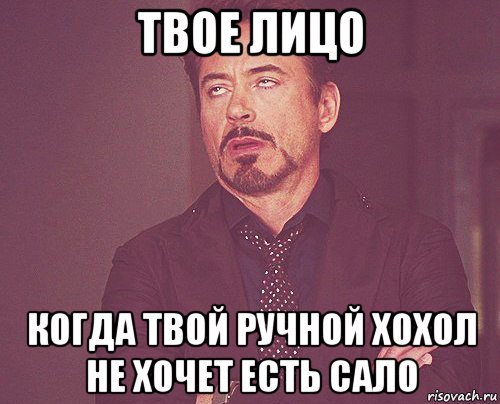 твое лицо когда твой ручной хохол не хочет есть сало, Мем твое выражение лица