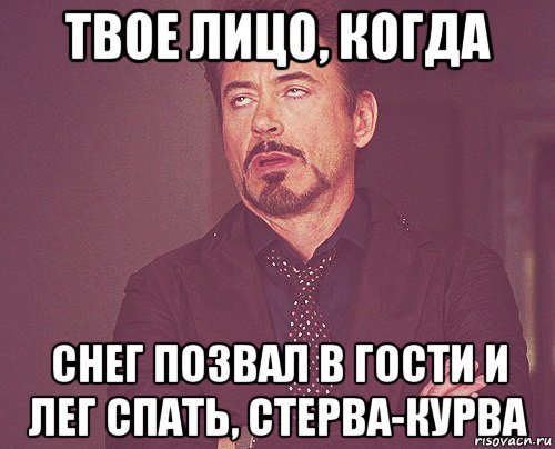 твое лицо, когда снег позвал в гости и лег спать, стерва-курва, Мем твое выражение лица