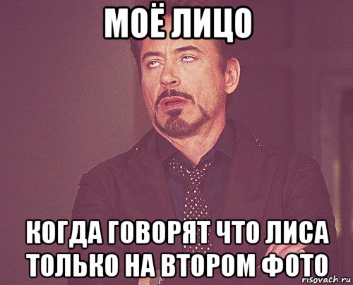 моё лицо когда говорят что лиса только на втором фото, Мем твое выражение лица