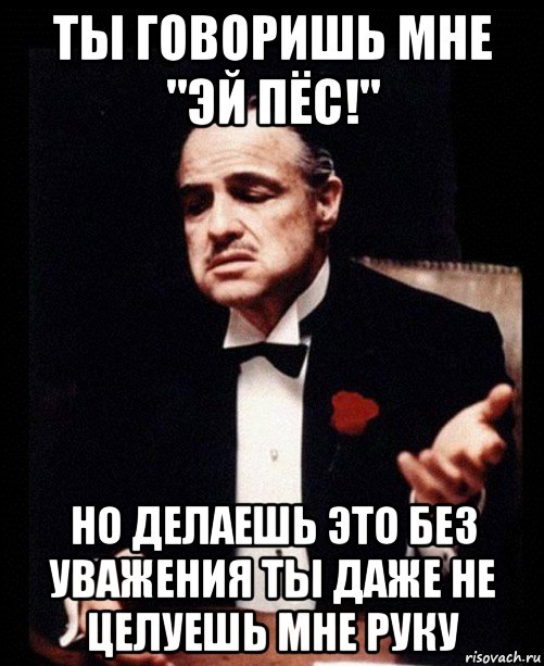 ты говоришь мне "эй пёс!" но делаешь это без уважения ты даже не целуешь мне руку