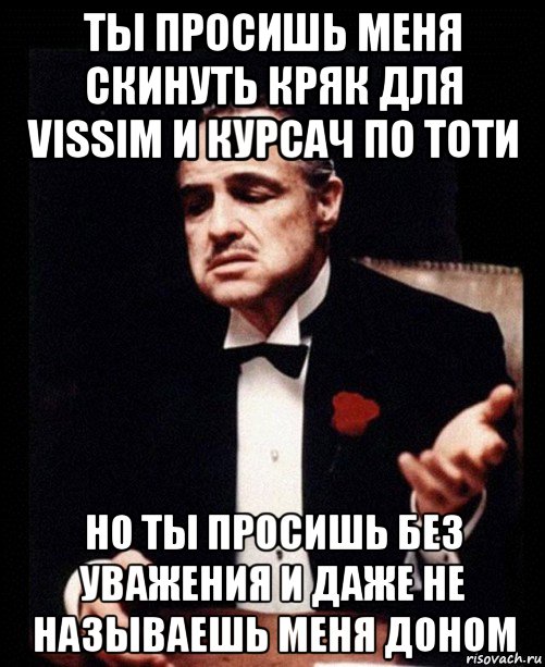 ты просишь меня скинуть кряк для vissim и курсач по тоти но ты просишь без уважения и даже не называешь меня доном