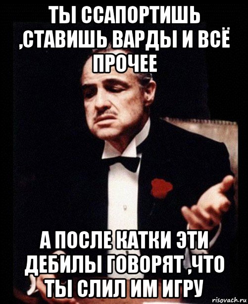 ты ссапортишь ,ставишь варды и всё прочее а после катки эти дебилы говорят ,что ты слил им игру, Мем ты делаешь это без уважения