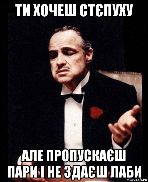 ти хочеш стєпуху але пропускаєш пари і не здаєш лаби, Мем ты делаешь это без уважения