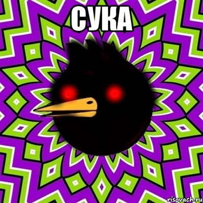 сука , Мем  Тёмный Омич