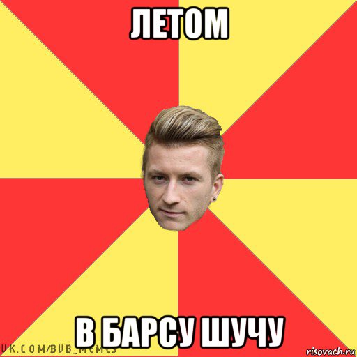 летом в барсу шучу