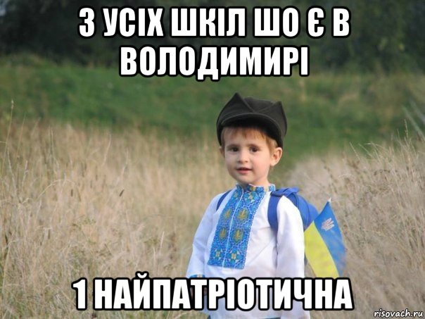 з усіх шкіл шо є в володимирі 1 найпатріотична, Мем Украина - Единая