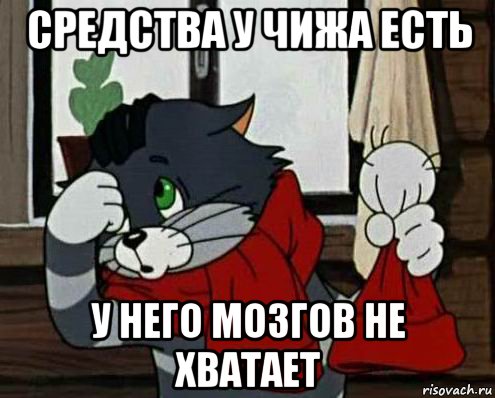 средства у чижа есть у него мозгов не хватает