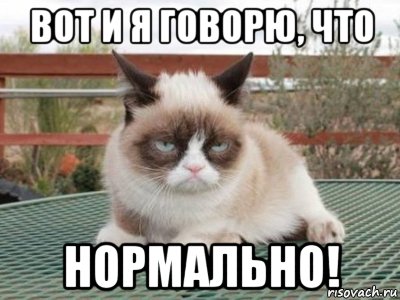 вот и я говорю, что нормально!, Мем Ungly Cat