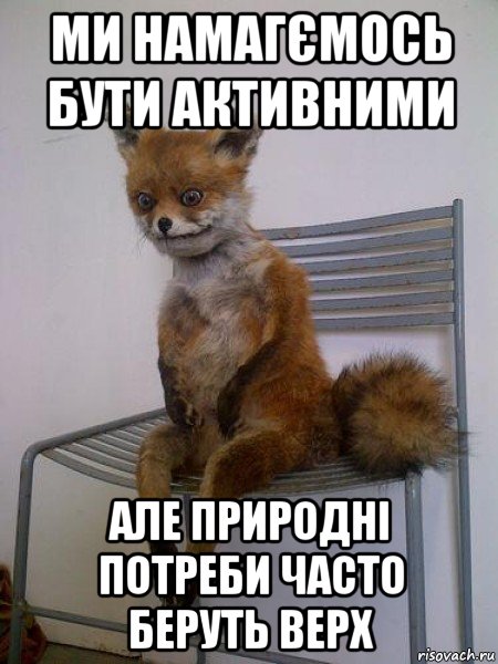 МИ НАМАГЄМОСЬ БУТИ АКТИВНИМИ АЛЕ ПРИРОДНІ ПОТРЕБИ ЧАСТО БЕРУТЬ ВЕРХ, Мем Упоротая лиса