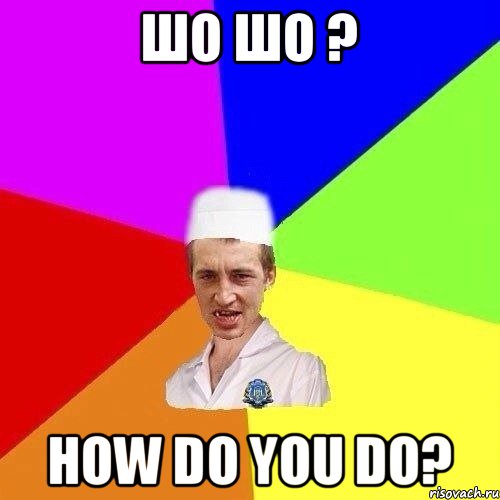 шо шо ? how do you do?
