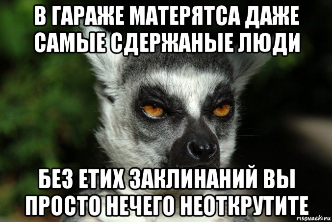 в гараже матерятса даже самые сдержаные люди без етих заклинаний вы просто нечего неоткрутите, Мем   Я збагоен