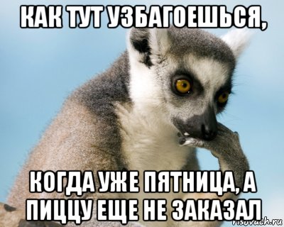 как тут узбагоешься, когда уже пятница, а пиццу еще не заказал, Мем Как тут узбагоешься