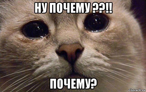 ну почему ??!! почему?, Мем   В мире грустит один котик