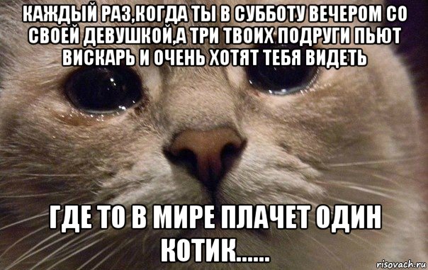 каждый раз,когда ты в субботу вечером со своей девушкой,а три твоих подруги пьют вискарь и очень хотят тебя видеть где то в мире плачет один котик......, Мем   В мире грустит один котик