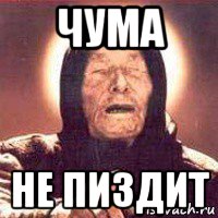 чума не пиздит