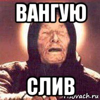 вангую слив