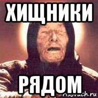 хищники рядом