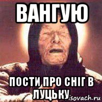 вангую пости про сніг в луцьку