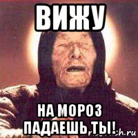 вижу на мороз падаешь ты!, Мем Ванга (цвет)
