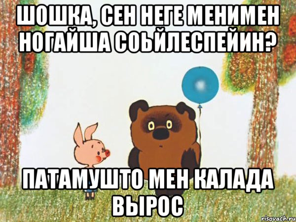 шошка, сен неге менимен ногайша соьйлеспейин? патамушто мен калада вырос