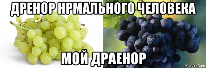 дренор нрмального человека мой драенор