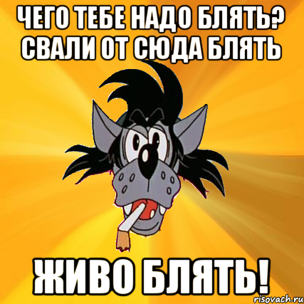 ЧЕГО ТЕБЕ НАДО БЛЯТЬ? СВАЛИ ОТ СЮДА БЛЯТЬ ЖИВО БЛЯТЬ!, Мем Волк