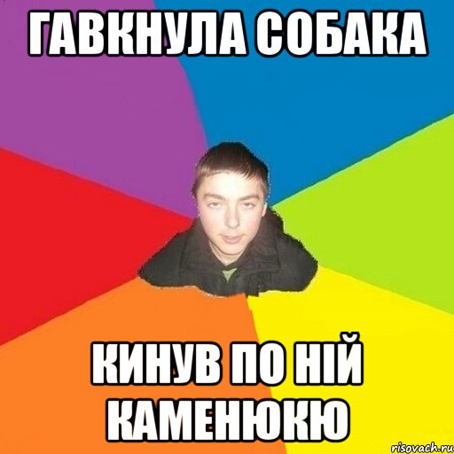 Гавкнула собака кинув по ній каменюкю