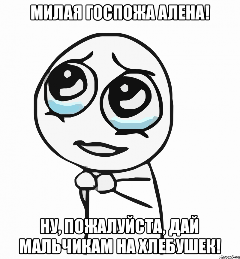 Милая госпожа Алена! Ну, пожалуйста, дай мальчикам на хлебушек!, Мем  ну пожалуйста (please)