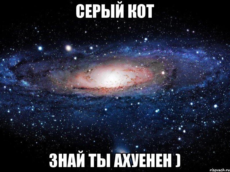 СЕРЫЙ КОТ ЗНАЙ ТЫ АХУЕНЕН ), Мем Вселенная
