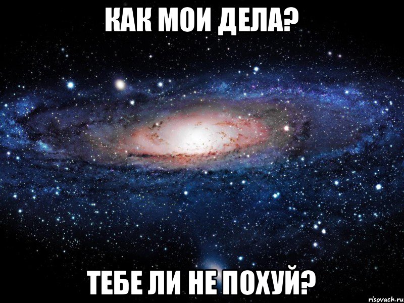 Как мои дела? Тебе ли не похуй?, Мем Вселенная