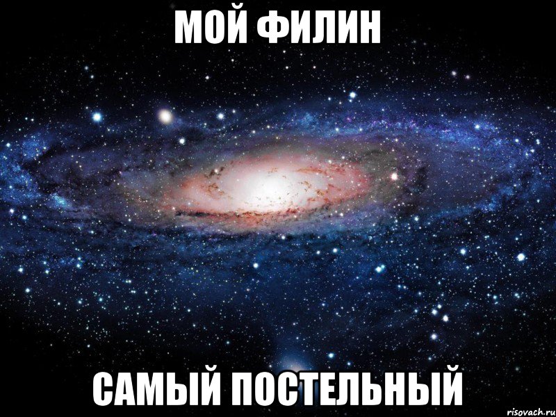 МОЙ ФИЛИН САМЫЙ ПОСТЕЛЬНЫЙ, Мем Вселенная