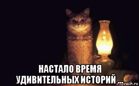 http://risovach.ru/upload/2014/11/mem/vvvvvvvvvvvvvvvvvvvvvvv_67026003_orig_.gif