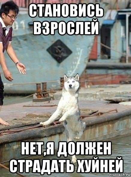 становись взрослей нет,я должен страдать хуйней