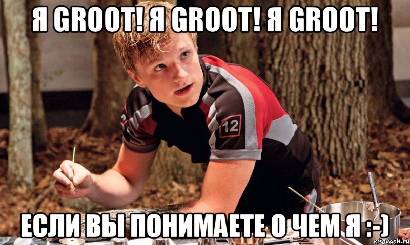 Я Groot! Я Groot! Я Groot! Если вы понимаете о чем я :-), Мем Я Groot Если вы понимаете о чем 