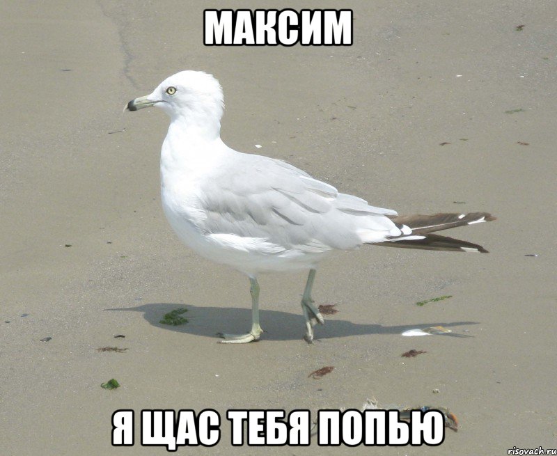 Максим Я щас тебя попью